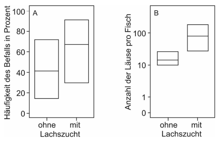Zwei nebeneinander stehende Boxplots: A Häufigkeit des Befalls (%) und B Anzahl der Läuse pro Fisch, Vergleich ohne vs. mit Lachszucht.